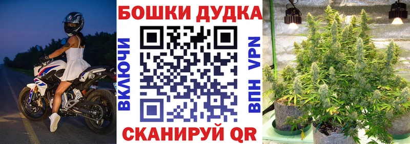 Купить закладку Бошки Шишки  МЕФ  Cocaine  ГАШИШ  Красный Холм