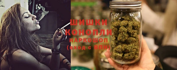 spice Бородино