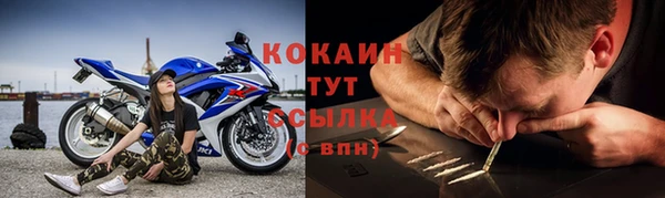 spice Бородино