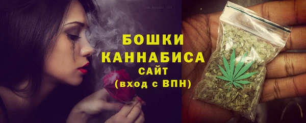 spice Бородино