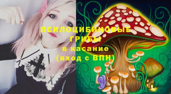 spice Бородино