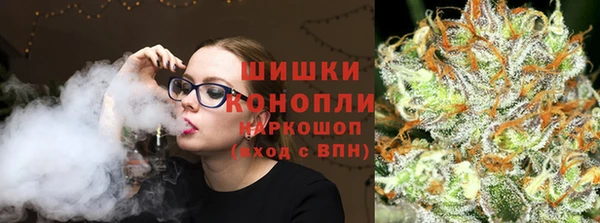 spice Бородино